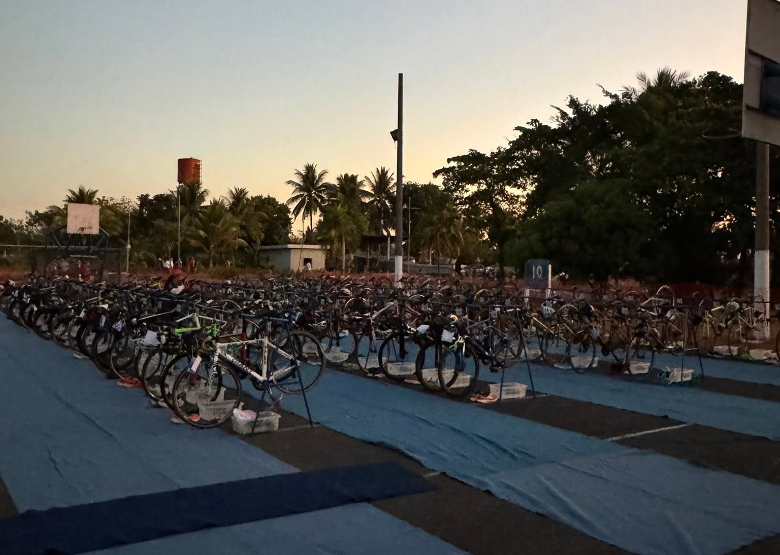 TRIATLÓN CIUDAD DE LAS PALMERAS 2026. ¡Poder en el Pacífico!